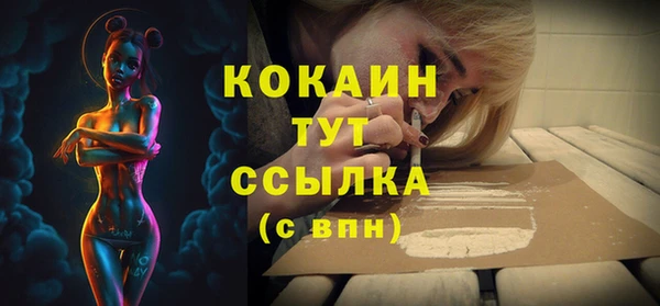 твердый Карпинск