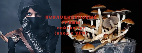 стафф Карталы