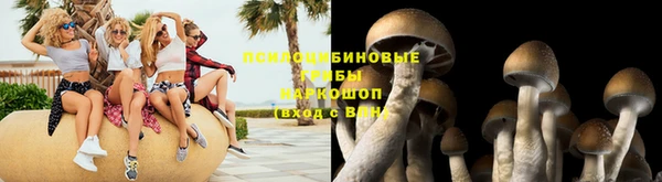твердый Карпинск