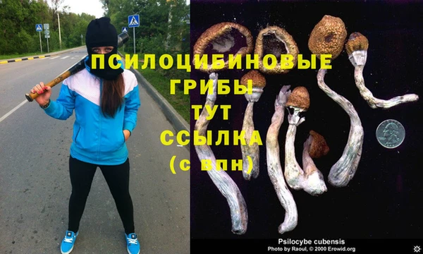 хмурый Киренск