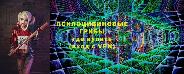 твердый Карпинск