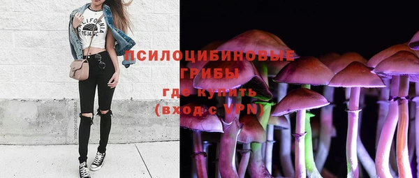 стафф Карталы